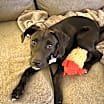 Thumbnail photo of Blossom #1