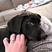 Thumbnail photo of Blossom #2