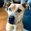 Thumbnail photo of Kiya (aka Jello Pop) #1