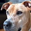 Thumbnail photo of Kiya (aka Jello Pop) #2