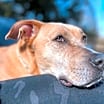 Thumbnail photo of Kiya (aka Jello Pop) #3