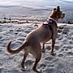 Thumbnail photo of Kiya (aka Jello Pop) #4