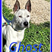 Thumbnail photo of Ghost #2