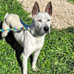 Thumbnail photo of Ghost #3