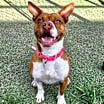 Thumbnail photo of Mabel #4
