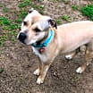 Thumbnail photo of SHYLA #1