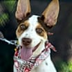 Thumbnail photo of Chiquita #2