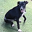 Thumbnail photo of Monroe #1