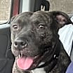 Thumbnail photo of Avery #2