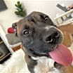 Thumbnail photo of Kobe #3