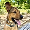 Thumbnail photo of Beckham #3