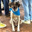 Thumbnail photo of Chico #1