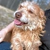 Thumbnail photo of Cassidy #1