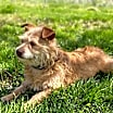 Thumbnail photo of Cassidy #2