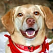 Thumbnail photo of Baker (aka Mason) #1