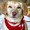 Thumbnail photo of Baker (aka Mason) #2