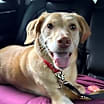 Thumbnail photo of Baker (aka Mason) #3