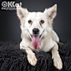 Thumbnail photo of Marlee #1