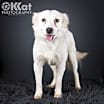 Thumbnail photo of Marlee #2