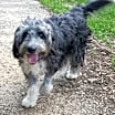 Thumbnail photo of Sally #2