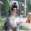 Thumbnail photo of Sally #3