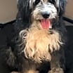 Thumbnail photo of Sally #4