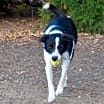 Thumbnail photo of CRUZ #2