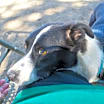 Thumbnail photo of CRUZ #4