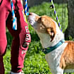 Thumbnail photo of Gucci #2