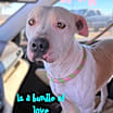 Thumbnail photo of Winki #1
