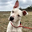 Thumbnail photo of Winki #2