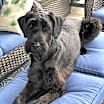 Thumbnail photo of BAKER (COURTESY POST) #1