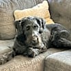 Thumbnail photo of BAKER (COURTESY POST) #2