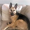 Thumbnail photo of Roxy #3