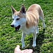Thumbnail photo of Kita #2