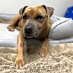 Thumbnail photo of Jessie #1
