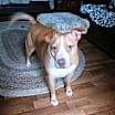 Thumbnail photo of Karl #4