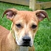 Thumbnail photo of Layla #1