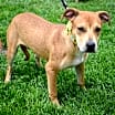 Thumbnail photo of Layla #2
