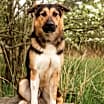 Thumbnail photo of Pépé #1