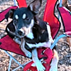 Thumbnail photo of Lila #1
