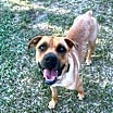 Thumbnail photo of Mia #1