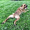 Thumbnail photo of Mia #3