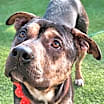 Thumbnail photo of Cumin (S. Korea) hz #1