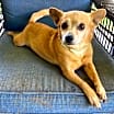 Thumbnail photo of Gabby #1
