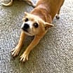 Thumbnail photo of Gabby #2