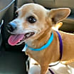 Thumbnail photo of Gabby #3