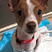 Thumbnail photo of Theo #1
