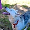 Thumbnail photo of Delilah #2