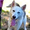 Thumbnail photo of Delilah #3